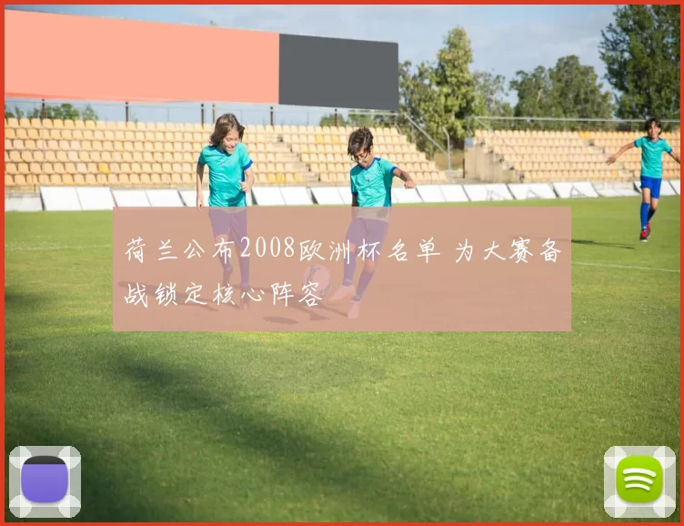 荷兰公布2008欧洲杯名单 为大赛备战锁定核心阵容