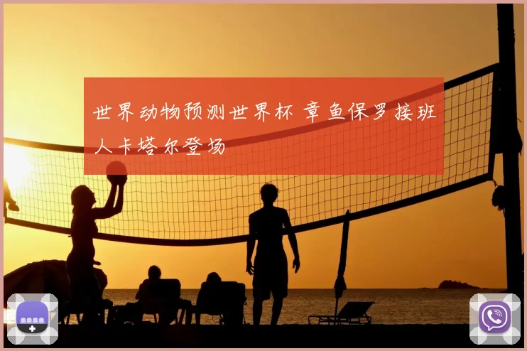 世界动物预测世界杯 章鱼保罗接班人卡塔尔登场