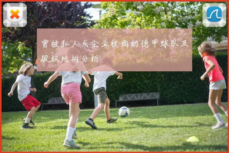 曾被私人或企业收购的德甲球队及股权结构分析
