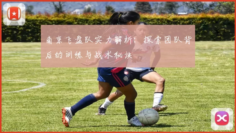 南京飞盘队实力解析:探索团队背后的训练与战术秘诀