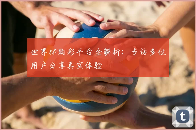世界杯购彩平台全解析:专访多位用户分享真实体验