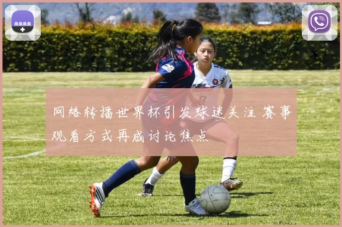 网络转播世界杯引发球迷关注 赛事观看方式再成讨论焦点