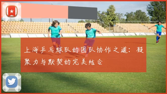 上海乒乓球队的团队协作之道:凝聚力与默契的完美结合