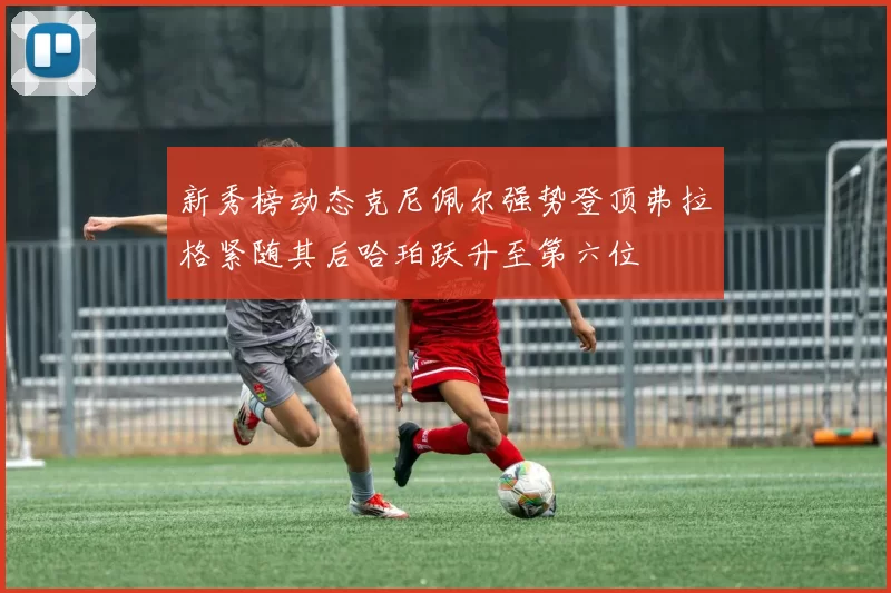 新秀榜动态克尼佩尔强势登顶弗拉格紧随其后哈珀跃升至第六位