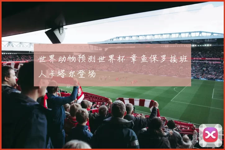 世界动物预测世界杯 章鱼保罗接班人卡塔尔登场