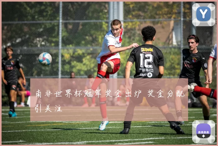 南非世界杯冠军奖金出炉 奖金分配引关注