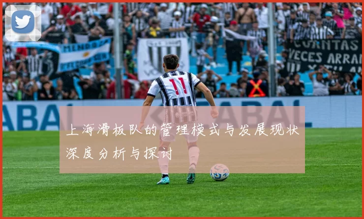 上海滑板队的管理模式与发展现状深度分析与探讨