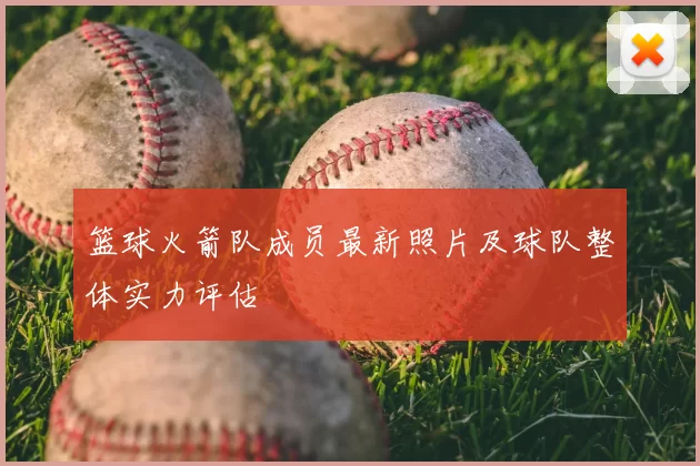 篮球火箭队成员最新照片及球队整体实力评估