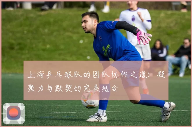 上海乒乓球队的团队协作之道：凝聚力与默契的完美结合