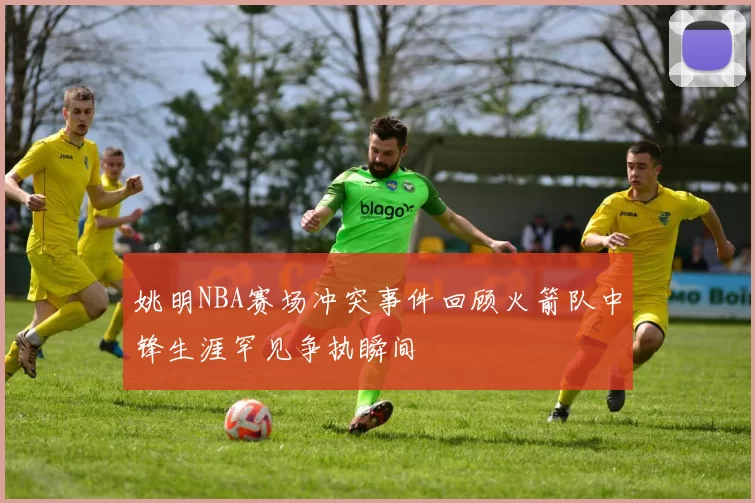姚明NBA赛场冲突事件回顾火箭队中锋生涯罕见争执瞬间