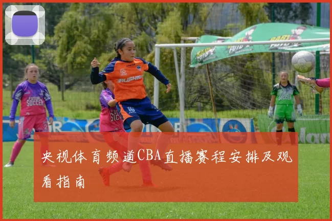 央视体育频道CBA直播赛程安排及观看指南
