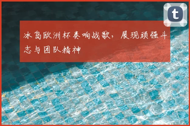 冰岛欧洲杯奏响战歌,展现顽强斗志与团队精神