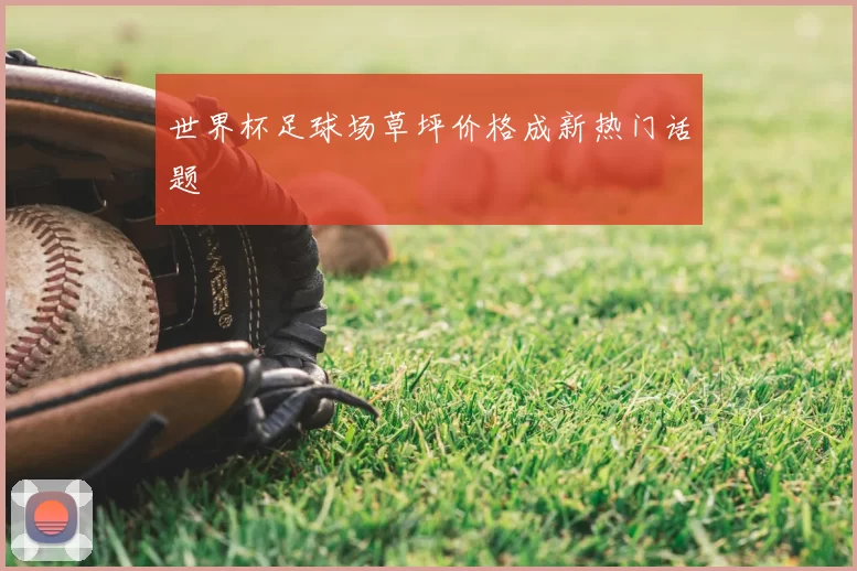 世界杯足球场草坪价格成新热门话题