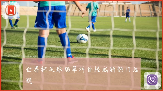 世界杯足球场草坪价格成新热门话题