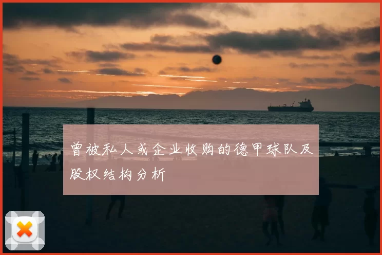 曾被私人或企业收购的德甲球队及股权结构分析